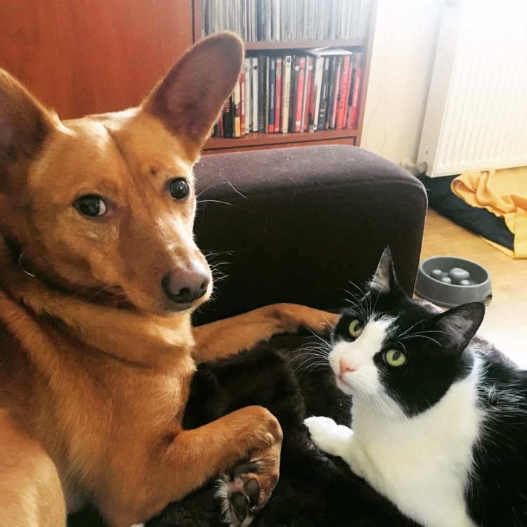 Pola i Rudy